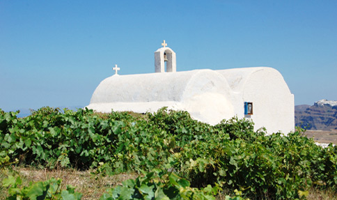 Γευσιγνωσία κρασιού